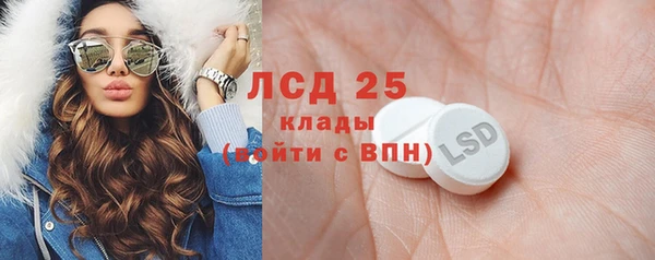 ГАЛЛЮЦИНОГЕННЫЕ ГРИБЫ Козловка