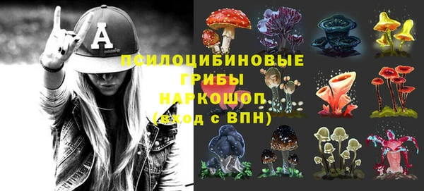 молекула духа Киренск